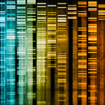 DNA-Medical-Abstract-thumbnail