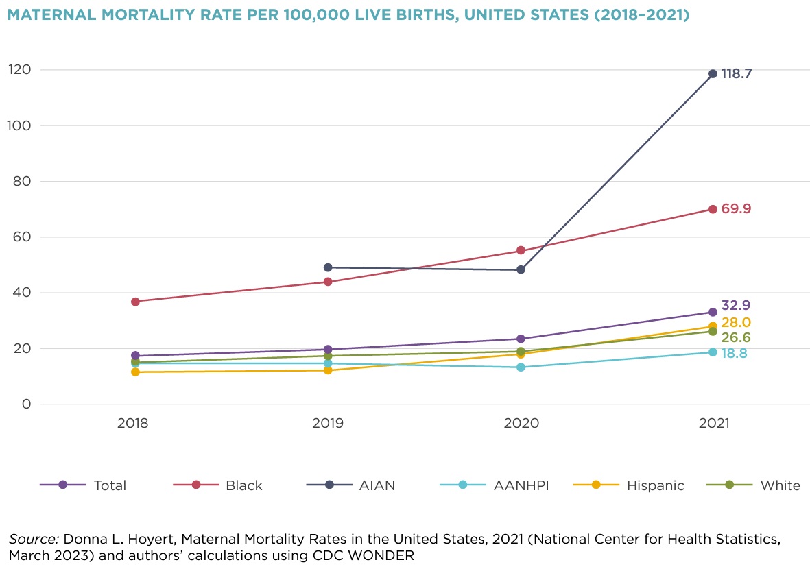 maternal-mortality-rate-per-100k.png